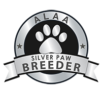 Silver Paw